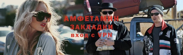 прущие грибы Балахна