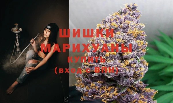 прущие грибы Балахна