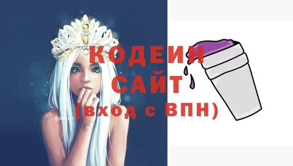 прущие грибы Балахна