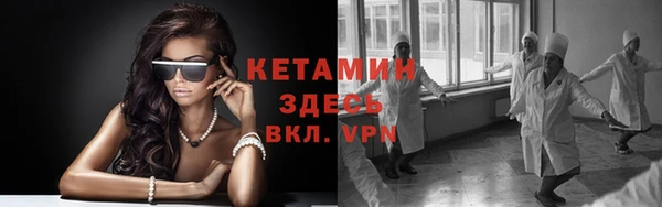 прущие грибы Балахна