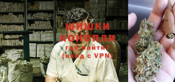 прущие грибы Балахна
