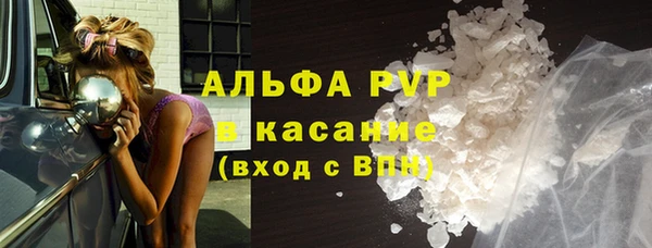 прущие грибы Балахна
